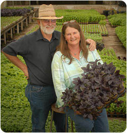 Założyciele EcoForms