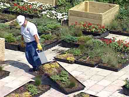 Pan przesuwa moduły Green Grid Roofs