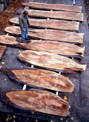 Deski z odzyskanego drzewa miejskiego