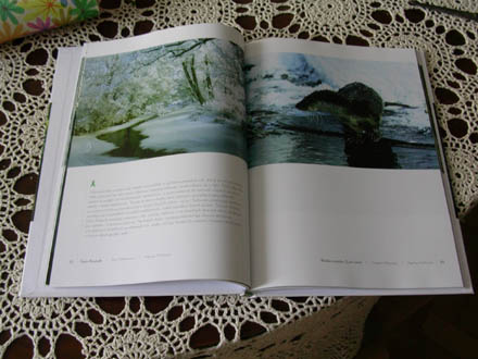 Album Tajemnice Doliny Rospudy