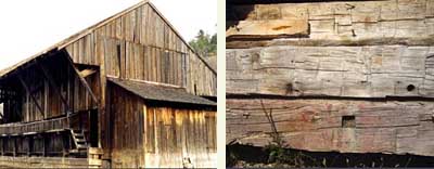 Stare drewno - skarb dla TerraMai