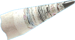 Warstwy gazet ołówka